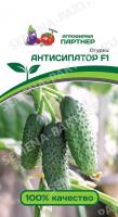 Семена Огурец Антисипатор F1