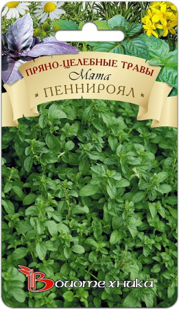 Семена Мята Пеннироял